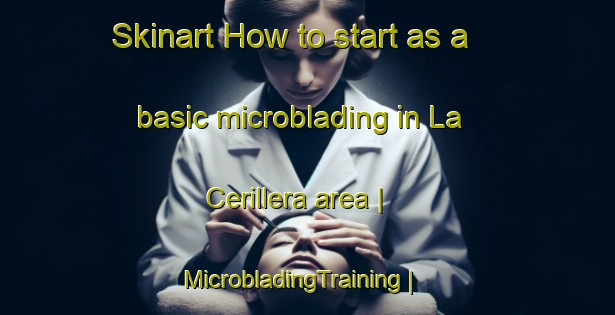 Skinart How to start as a basic microblading in La Cerillera area | MicrobladingTraining | MicrobladingClasses | SkinartTraining-Mexico